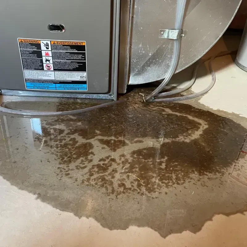 Appliance Leak Cleanup in Horace, ND